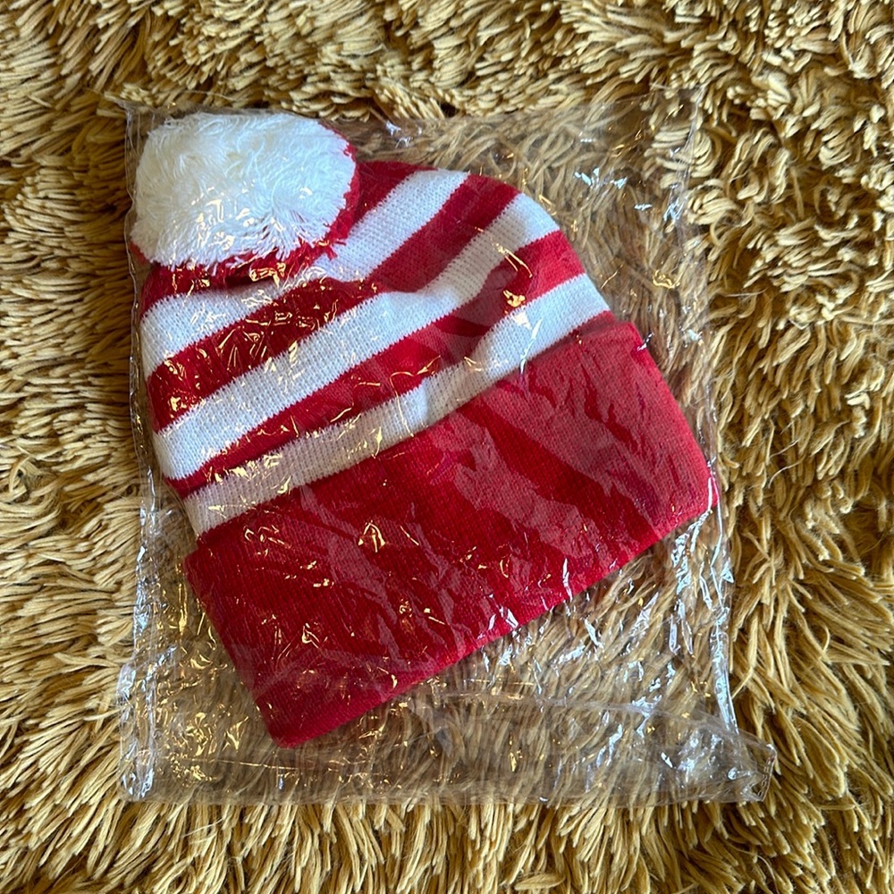 Waldo striped beanie